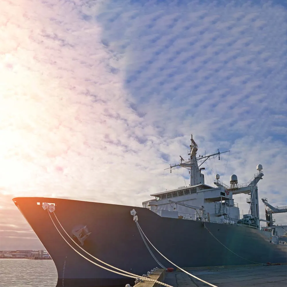 Denizcilik Sektörü